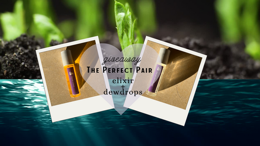 The Perfect Pair - Giveaway