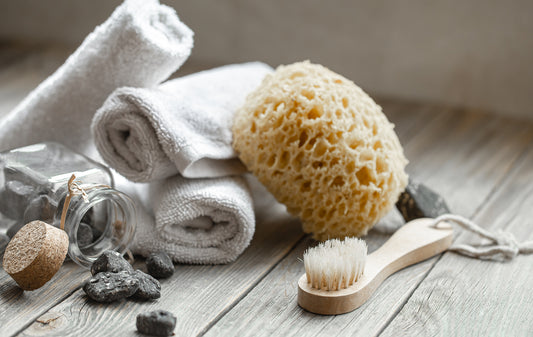 Dry Brushing 101 BellaVita Botanics